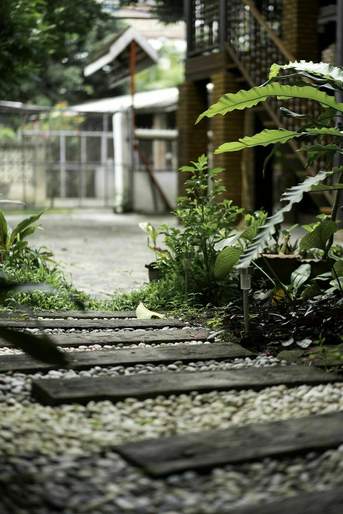 Sarah Guest House Chiang Mai Eksteriør bilde